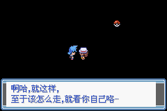 口袋妖怪永恒之焱绯红苍蓝一周目图文攻略 全道馆挑战攻略(19)