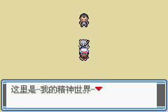 口袋妖怪永恒之焱绯红苍蓝一周目图文攻略 全道馆挑战攻略(19)