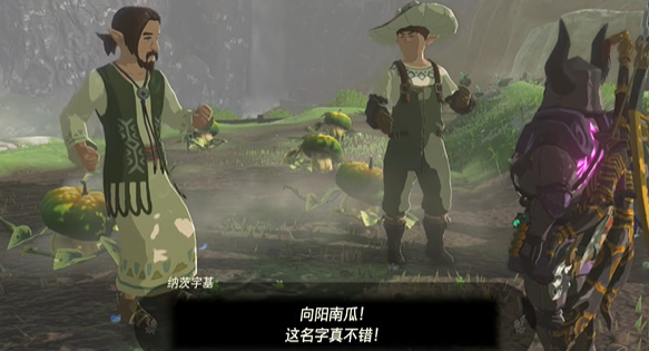 塞尔达传说王国之泪全迷你挑战图文攻略 迷你挑战全流程攻略(17)
