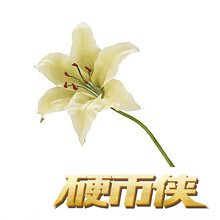ջ7ưȫƷͼ ջ7ȫƷԼȡ;
