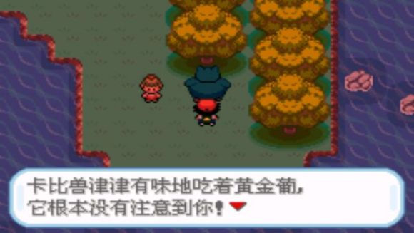精灵宝可梦圣灰二周目图文攻略大全 口袋妖怪圣灰二周目图文攻略(7)