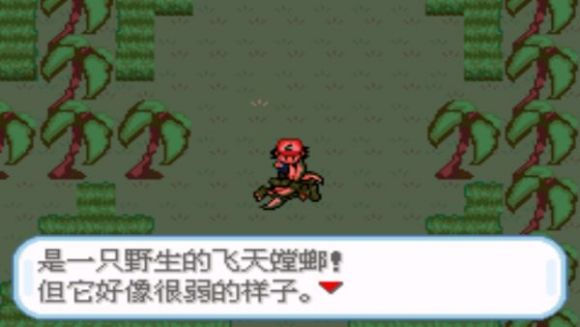 精灵宝可梦圣灰二周目图文攻略大全 口袋妖怪圣灰二周目图文攻略(8)