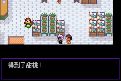 口袋妖怪漆黑的魅影5.0全流程图文攻略 漆黑的魅影一周目图文攻略(3)