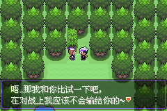 口袋妖怪漆黑的魅影5.0全流程图文攻略 漆黑的魅影一周目图文攻略(3)