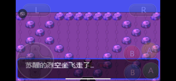 口袋妖怪究极绿宝石5.4一周目图文攻略大全 一周目完美流程攻略(14)