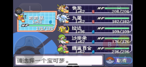 口袋妖怪究极绿宝石5.4一周目图文攻略大全 一周目完美流程攻略(14)