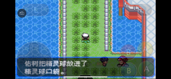 口袋妖怪究极绿宝石5.4一周目图文攻略大全 一周目完美流程攻略(4)