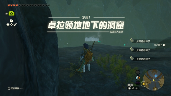 塞尔达传说卓拉领地地下的深穴在哪 卓拉领地的隐藏深穴位置一览