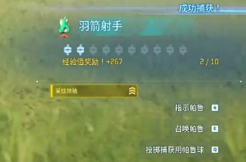 幻兽帕鲁前期3大神兽有哪些 前期适用3大幻兽介绍
